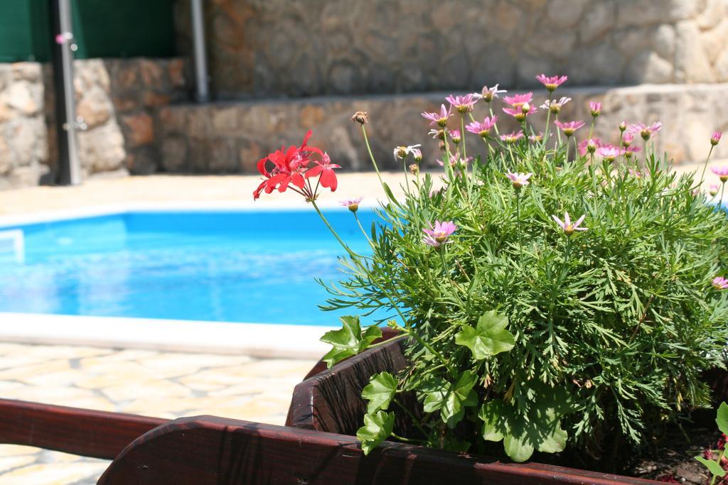 Apartments Petricic With Swimming Pool Ičići Eksteriør bilde